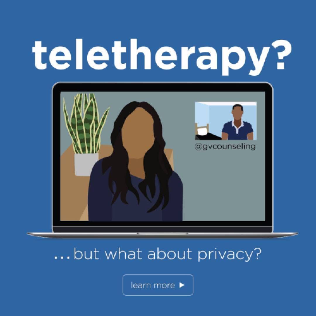 Laptop screen with a video call; a person with long hair is visible. Text reads “teletherapy? …but what about privacy?” against a blue background.